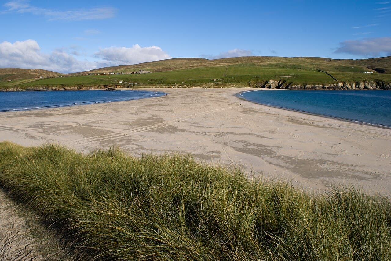 The double-curved sand tombolo of St Ninian's Isle sweeps between two blue bays, seen from marram dunes on the Shetland shore.