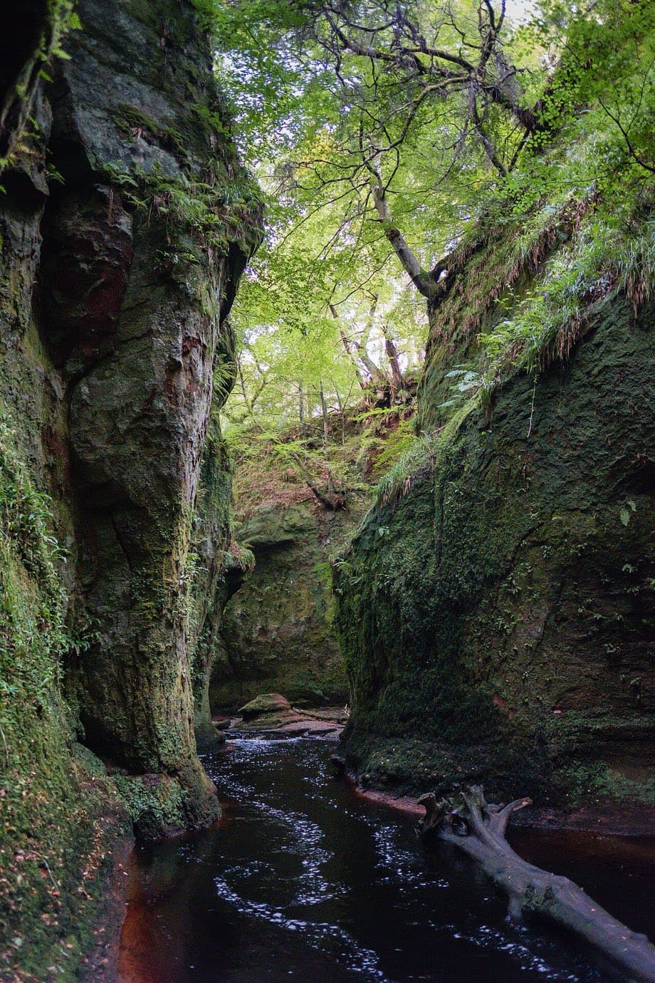 Sheer moss-clad sandstone walls of Finnich Glen rise high above the dark Carnock Burn, the beech canopy closing overhead.