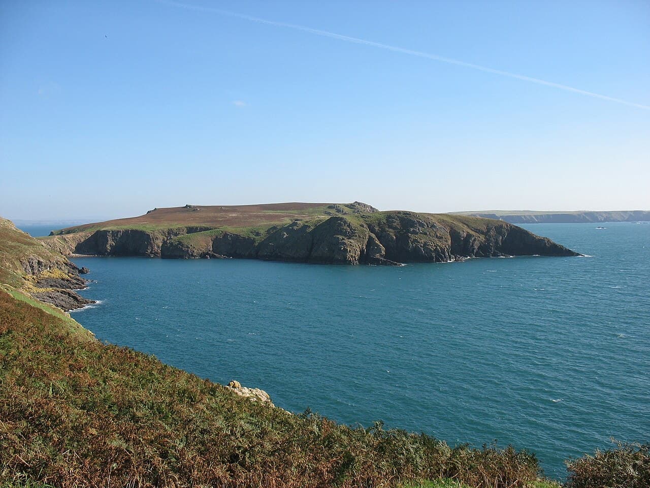 The flat green headland of the Neck on Skomer rises above a calm blue bay, seen from bracken-covered slopes across the water.