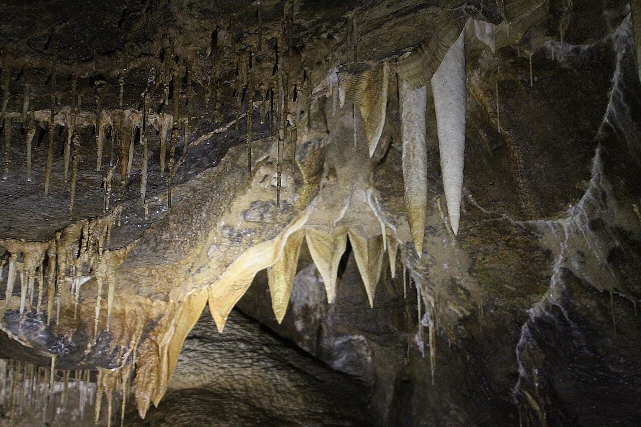Banded flowstone curtains and slender stalactites hang like teeth from the streaked limestone roof of the Marble Arch Caves.